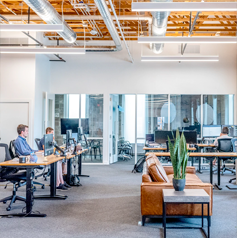 Imagen Empleo público