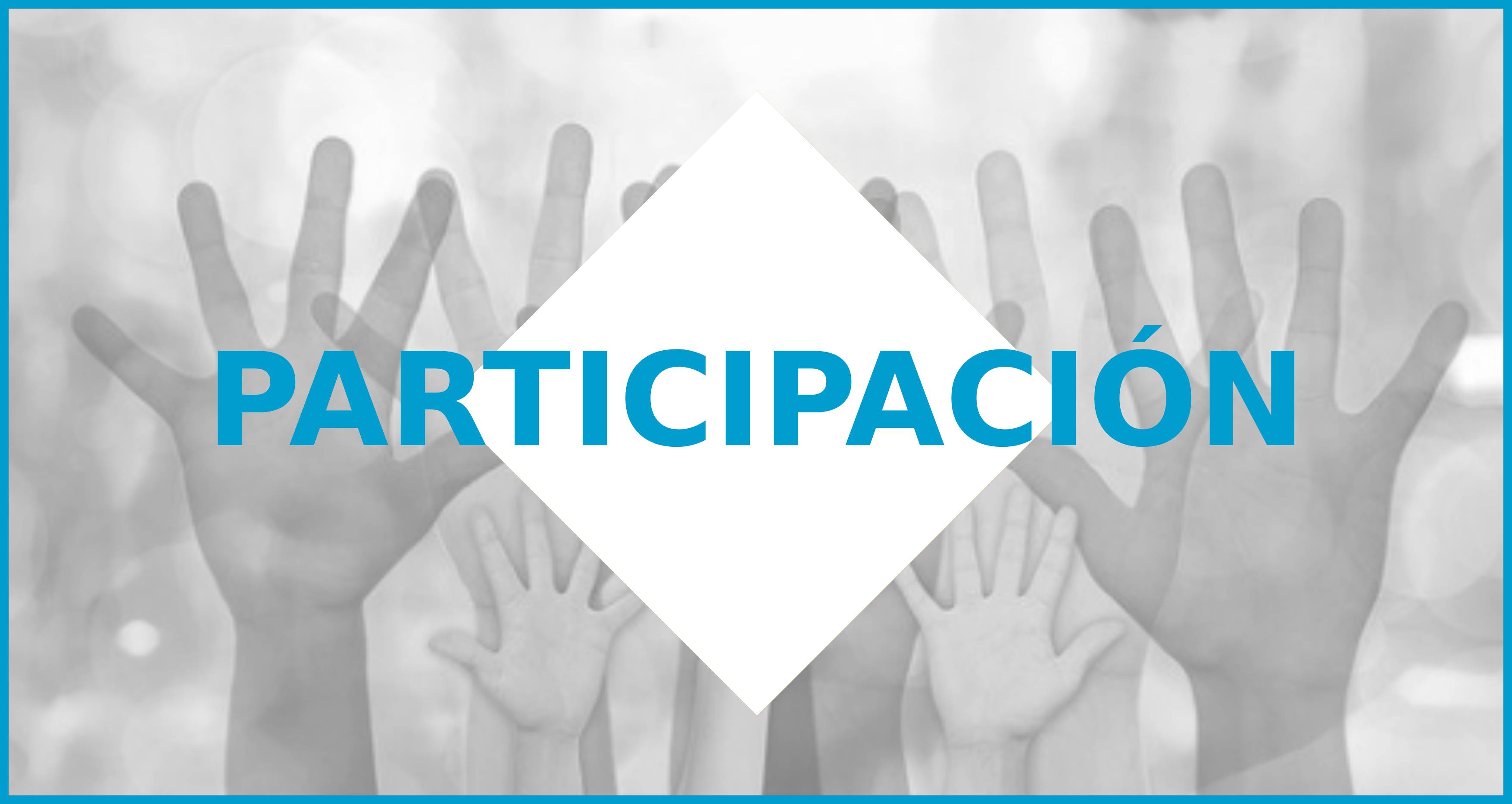 Imagen Participación