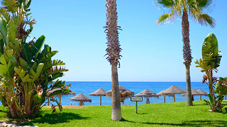 Imagen Sostenibilidad Medioambiental