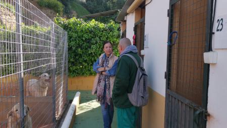 El Centro de Protección Animal de Rincón de la Victoria recogió durante el primer trimestre de este año 239 animales, y un total de 726 en el 2024