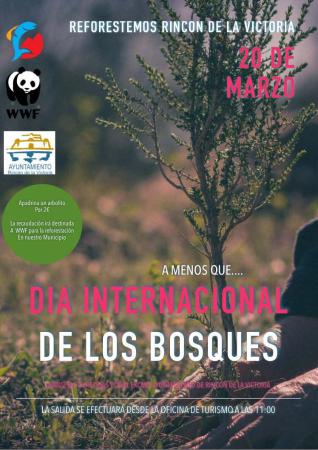 Rincón celebra la I Marcha ecológica del Día Internacional de los Bosques el domingo 20 de marzo