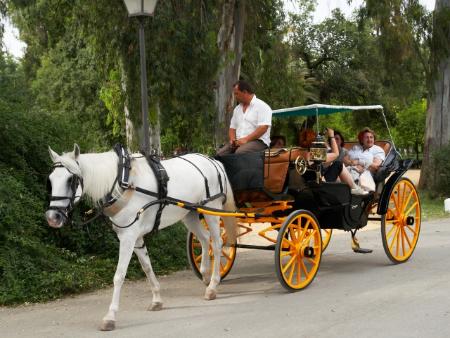 Rincón de la Victoria contará con servicio turístico de coche de caballos