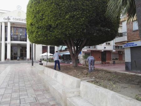 Medio Ambiente inicia nuevos trabajos para mejorar y embellecer la imagen de la Plaza Al Ándalus de Rincón de la Victoria