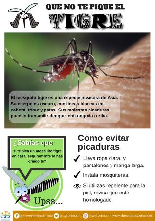 Disminuye en más de un 90% la producción de huevos del mosquito tigre en Rincón de la Victoria