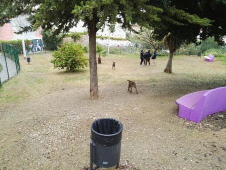 Medio Ambiente habilita un nuevo parque canino en el centro urbano de Rincón de la Victoria