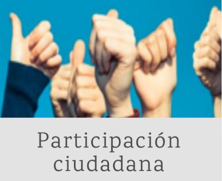 El Ayuntamiento de Rincón publica por primera vez el Registro Municipal de Asociaciones en su página Web