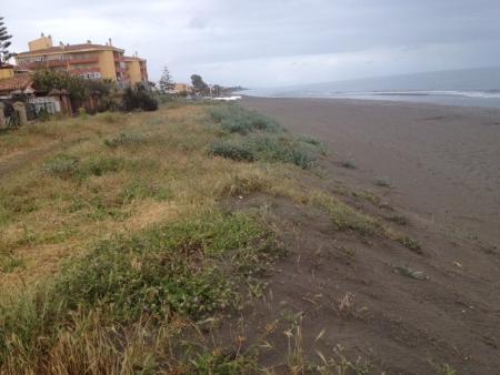 La Concejalía de Medio Ambiente inicia los trabajos para instalar un sendero ecológico en la playa de Los Rubios