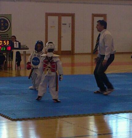 Rincón de la Victoria acoge el Campeonato Andaluz de Infantil y Precadete de Taekwondo que atraerá a un centenar de participantes