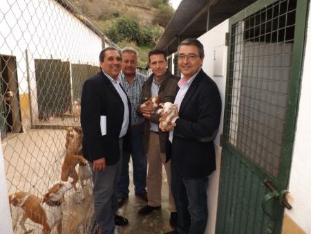 Aumentan en más de un 30 por ciento las recogidas de animales en el Parque Zoosanitario Municipal de Rincón