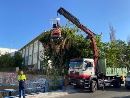 Adjudicada la limpieza, desbroce de arroyos, y mantenimiento de zonas y parcelas municipales