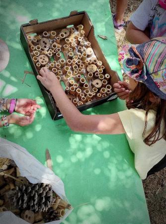 Más de 2.000 alumnos de Infantil y Primaria han participado en el proyecto educativo medioambiental de los huertos escolares