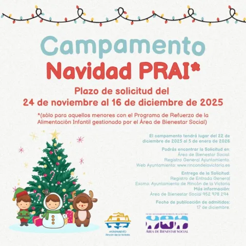 Cartel Campamento Navidad PRAI