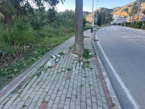 Acera con problemas de levantamiento. 