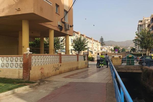 Lo pajaritos antes 2