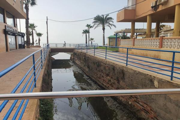 Lo pajaritos antes 6