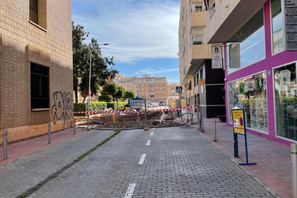 Peatonal obras 8