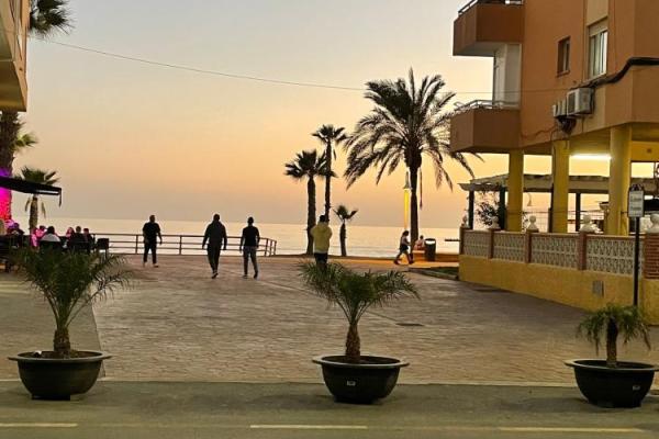 resultado final los pajaritos 3