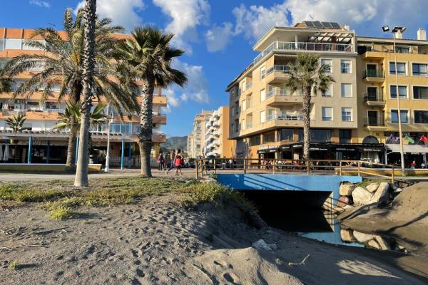 resultado final los pajaritos 5