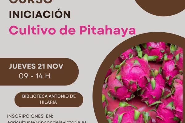 Rincón de la Victoria organiza un curso gratuito de iniciación al cultivo de la pitahaya